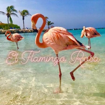 Casa Vacanze El Flamingo Rosa Cod Iun P5386 Iglesias Εξωτερικό φωτογραφία